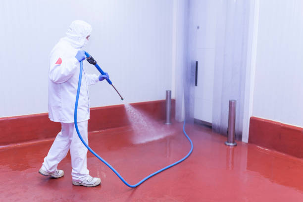 Best Soft Washing for Delicate Surfaces in Texas City, TX